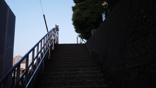 この階段を登ると谷中霊園