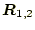 $ \boldsymbol{R}_{1,2}$