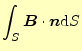 $\displaystyle \int_S\boldsymbol{B}\cdot\boldsymbol{n}\mathrm{d}S$