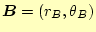$\displaystyle \boldsymbol{B}=(r_B, \theta_B)$