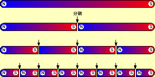 \includegraphics[keepaspectratio, scale=0.7]{figure/magnet.eps}