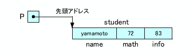 \includegraphics[keepaspectratio, scale=1.0]{figure/pt_struct.eps}