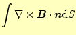 $\displaystyle \int\nabla\times \boldsymbol{B}\cdot\boldsymbol{n}\mathrm{d}S$