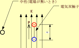 \includegraphics[keepaspectratio, scale=1.0]{figure/porlarization.eps}