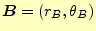 $\displaystyle \boldsymbol{B}=(r_B, \theta_B)$