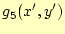 $\displaystyle g_5(x',y')$