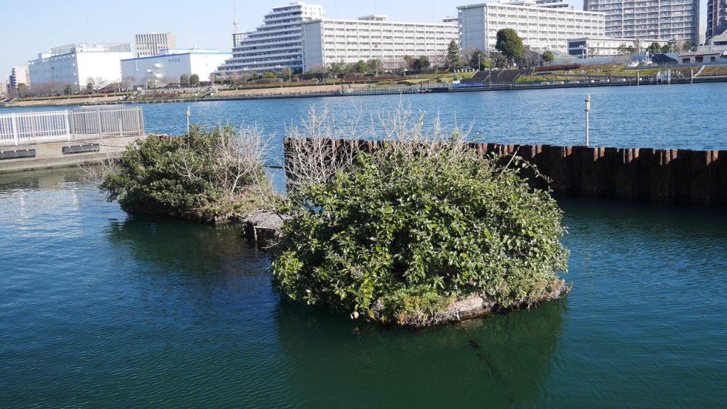 豊洲運河の浮島?