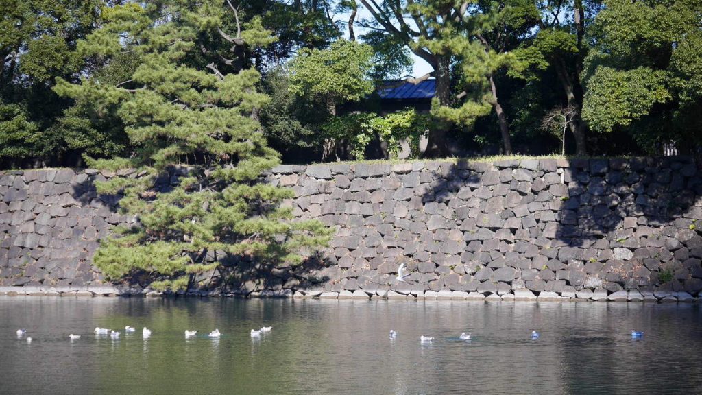 皇居おお堀